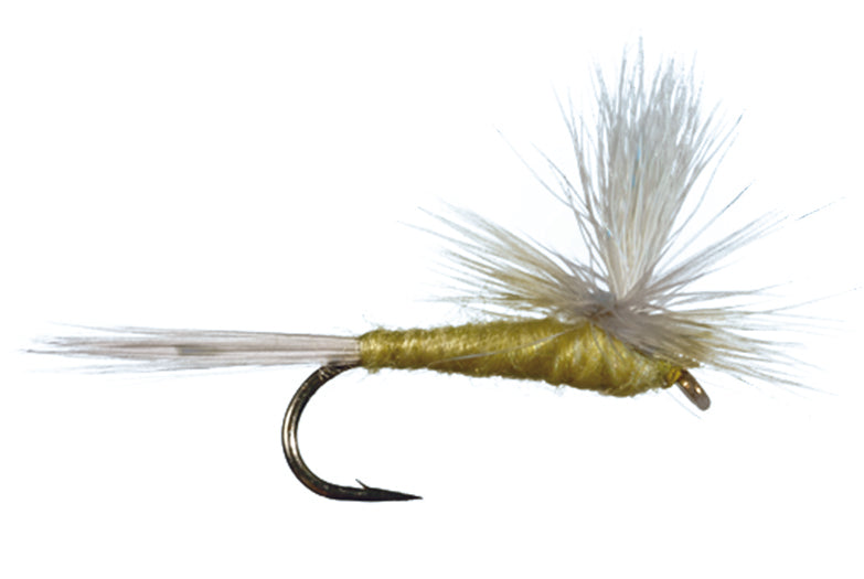 Beadhead Hale Bopp Leech by Solitude